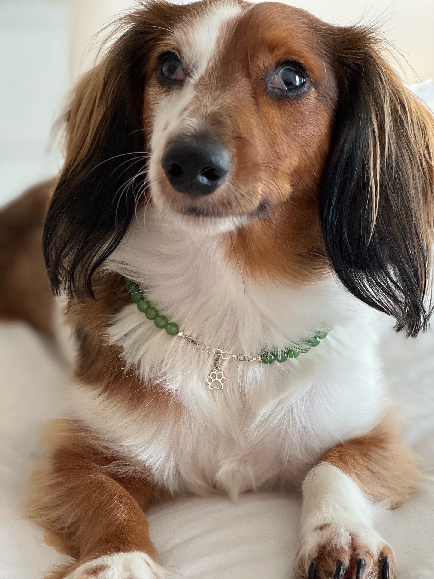 Pet collar - Green Agate