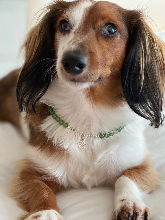 Pet collar - Green Agate